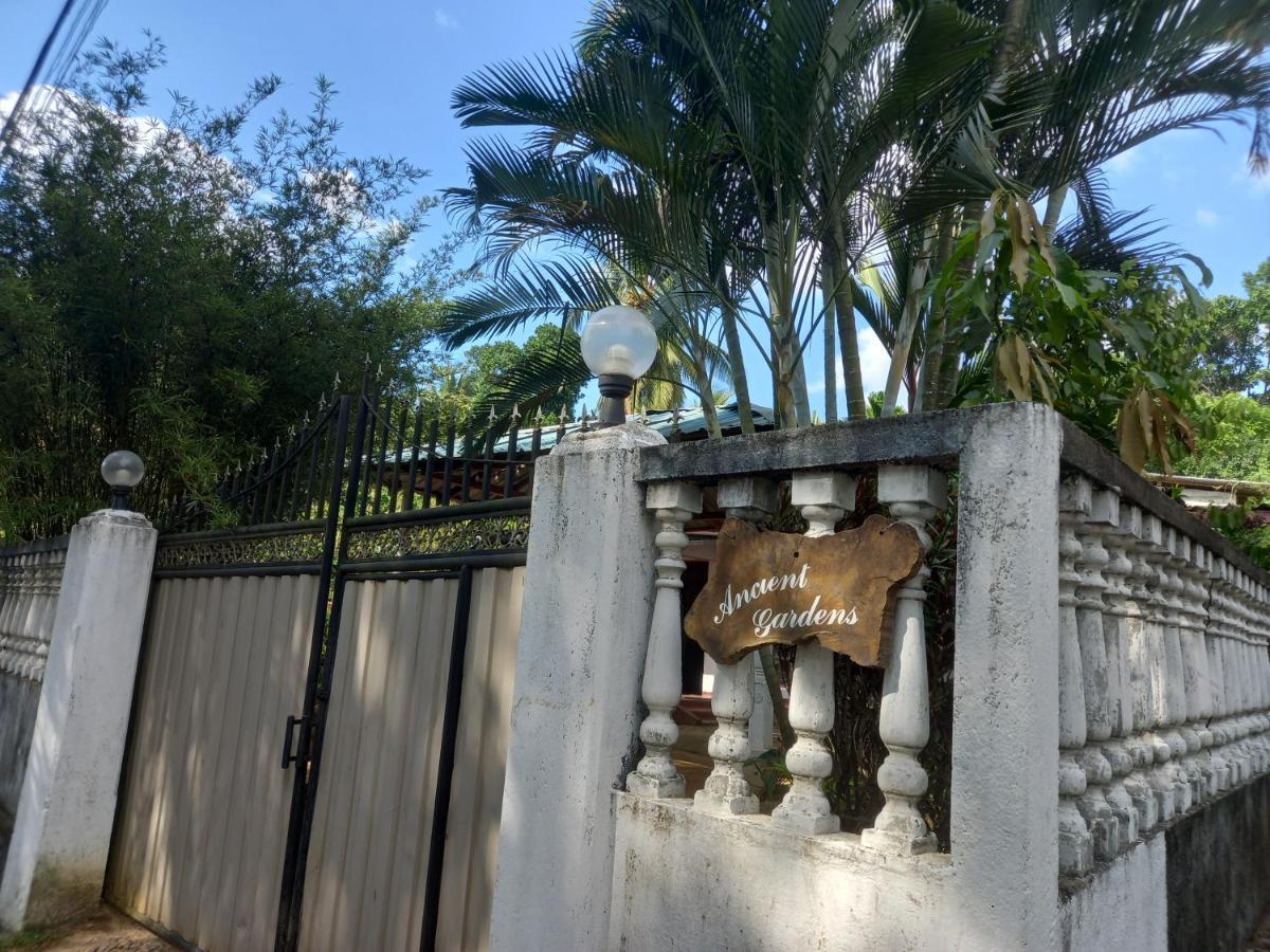 Ancient Gardens Villa Pinnawala  Buitenkant foto