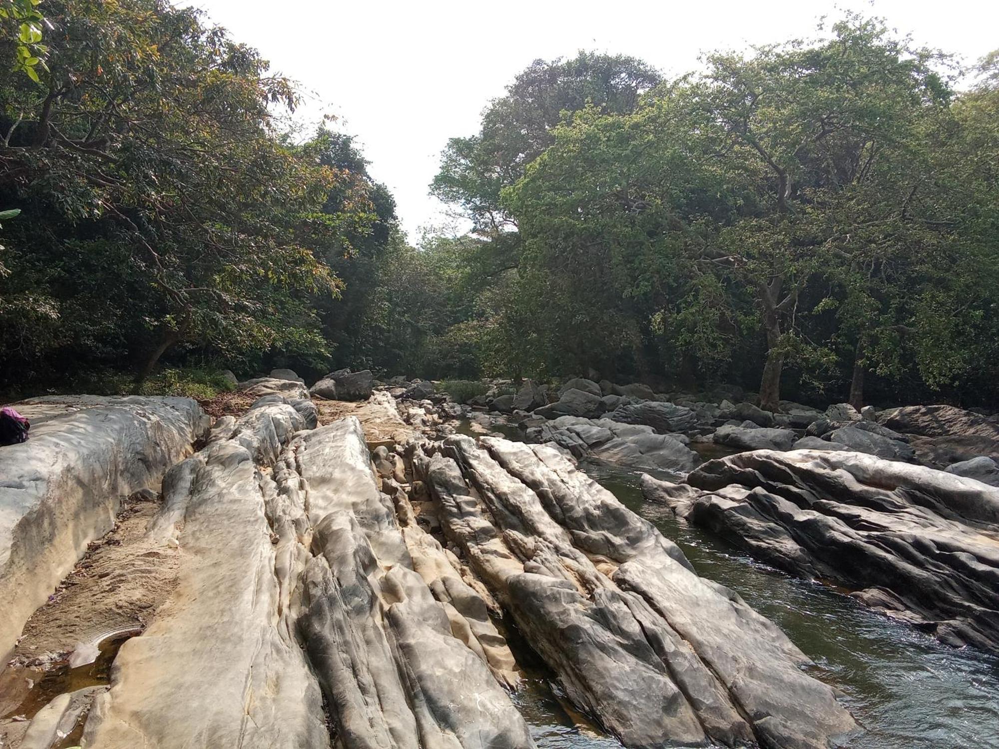 Ancient Gardens Villa Pinnawala  Buitenkant foto