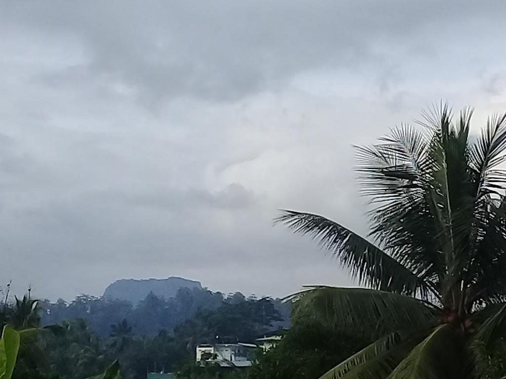Ancient Gardens Villa Pinnawala  Buitenkant foto