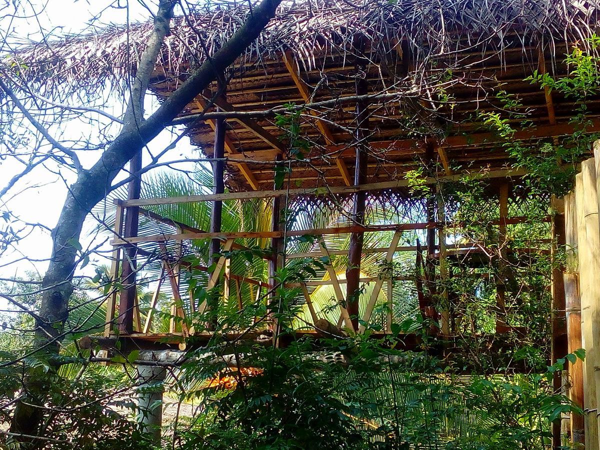 Ancient Gardens Villa Pinnawala  Buitenkant foto