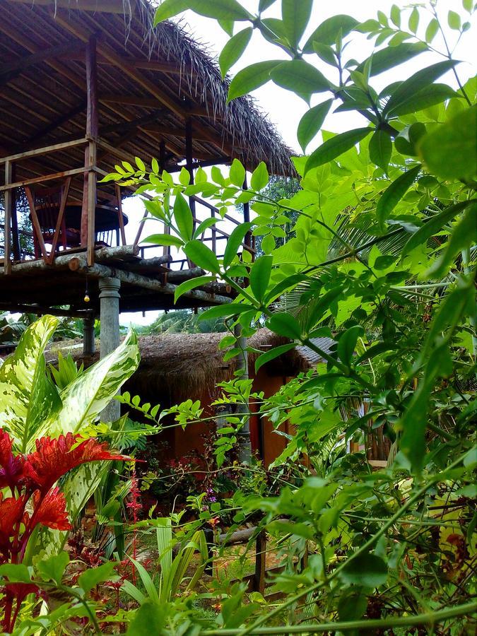 Ancient Gardens Villa Pinnawala  Buitenkant foto