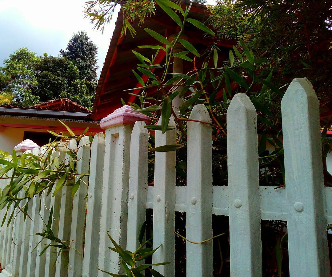 Ancient Gardens Villa Pinnawala  Buitenkant foto