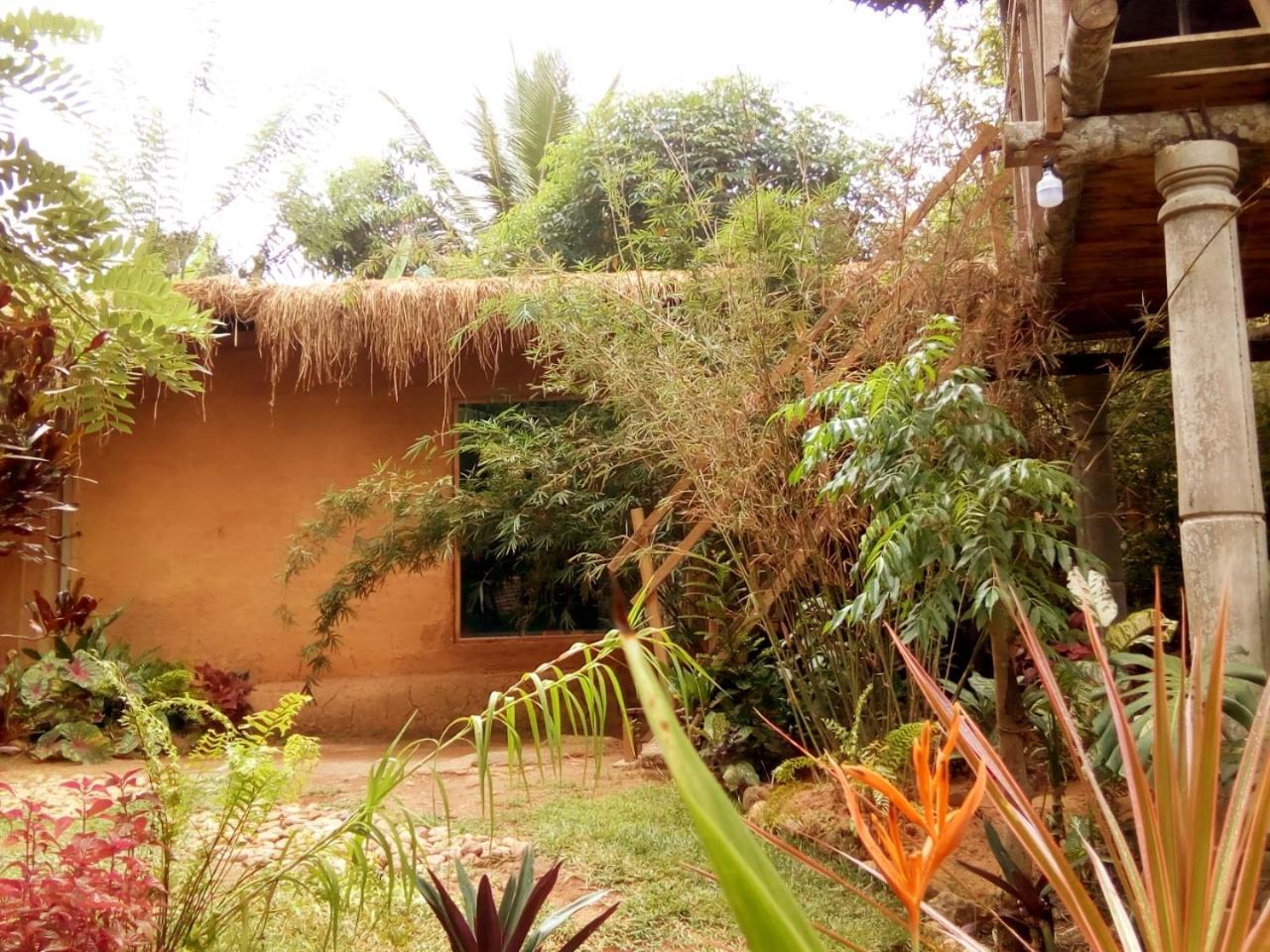 Ancient Gardens Villa Pinnawala  Buitenkant foto